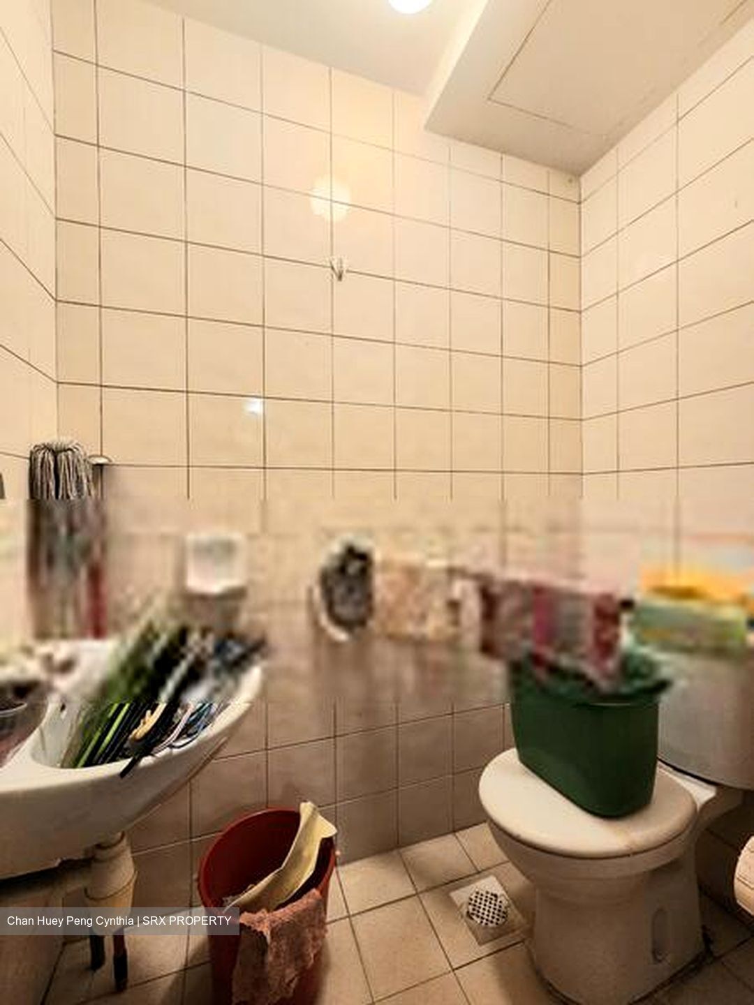 Carissa Park Condominium (D17), Condominium #405657411